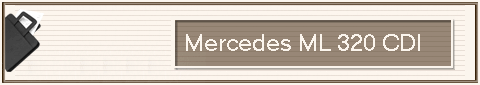                      Mercedes ML 320 CDI